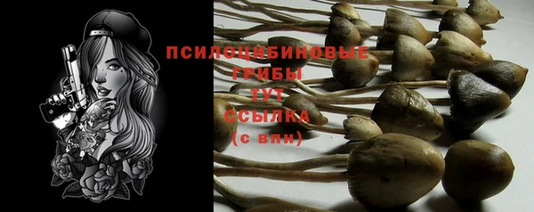 амф Медногорск