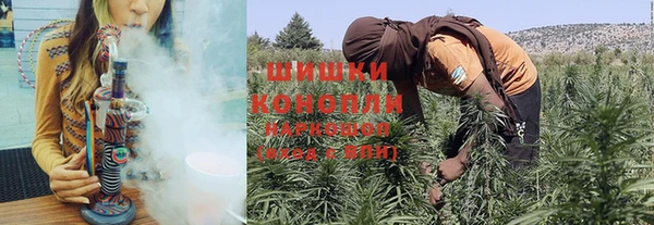 PSILOCYBIN Алексеевка