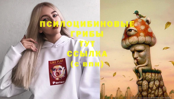 PSILOCYBIN Алексеевка