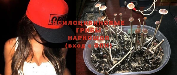 бошки Алзамай