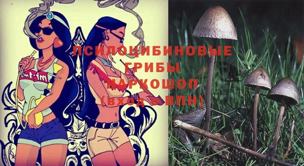 бошки Алзамай